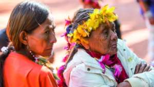 les Indiens Guarani