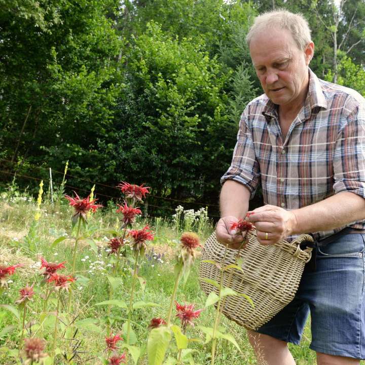 La Ferme aux Herbes