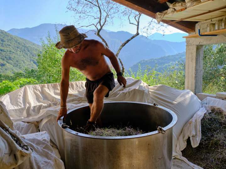 Christophe Courteau pratique la distillation lente pour préserver l'intégrité des essences des plantes