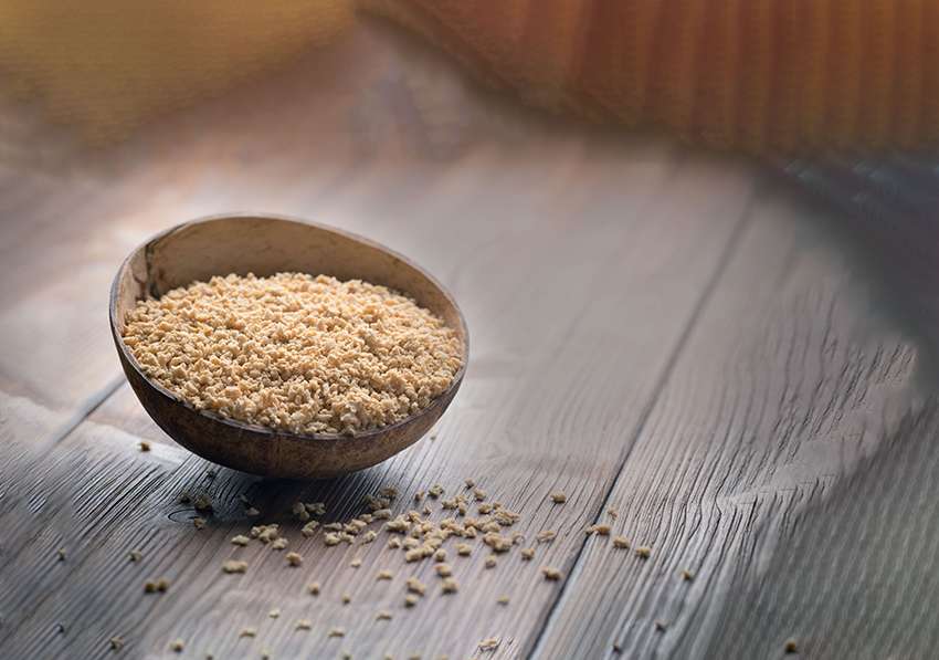 La lécithine de soja, pour le bon gras Plantes et Santé