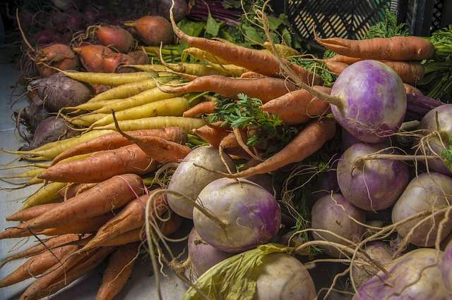 Légumes racines