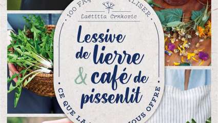 Lessive de lierre & café de pissenlit