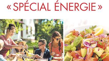 Le Grand Livre de l'alimentation « spécial énergie »