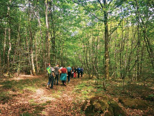 Le collectif citoyen Lu Picatau (photo ci-dessus) a racheté une cinquantaine d’hectares au cœur du Périgord vert. Une initiative engagée pour défendre les essences historiques contre la monoculture de châtaigniers et les coupes rases.