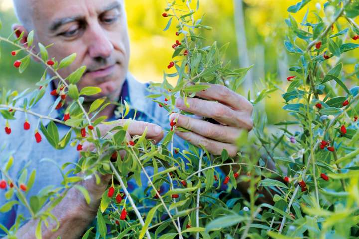 Christophe Bernard, conseiller en herboristerie et en phytothérapie