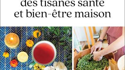 Ma bible des tisanes santé et bien-être maison - Amaya Calvo Valderrama