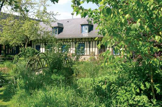 Maison, appartement : déocuvrez les règles à connaître avec vos végétaux