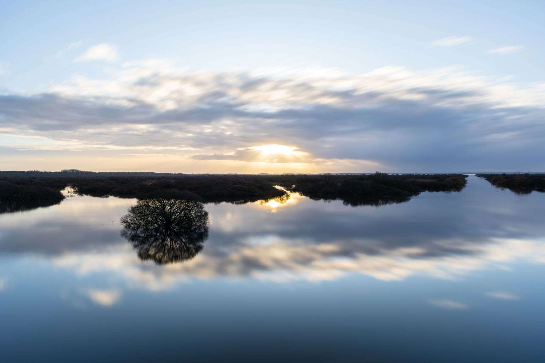 Le lac de GrandLieu Immersion dans une réserve naturelle unique Plantes et Santé