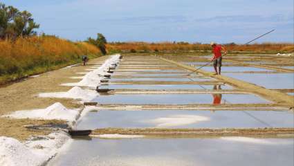 La fleur de sel, crème de la mer