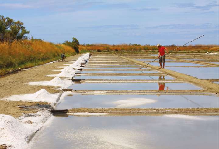 La fleur de sel, crème de la mer