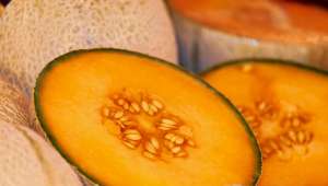 Melon - Des vitamines pour l'été