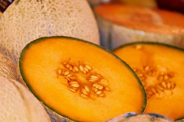 Melon - Des vitamines pour l'été