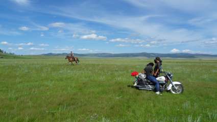 Mongolie