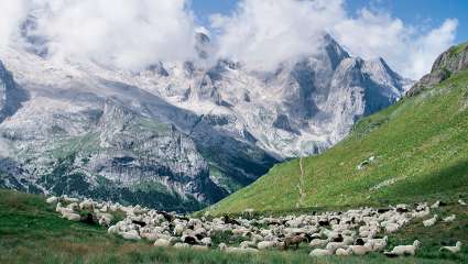 Sols dans les Alpes : une érosion pas si naturelle