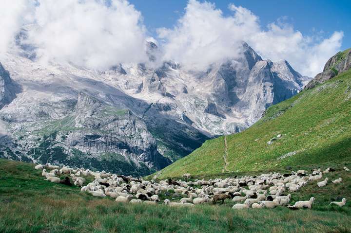 Sols dans les Alpes : une érosion pas si naturelle