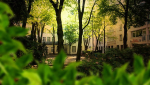 Le Chemin des herbes Thierry Thévenin et Cédric Perraudeau et