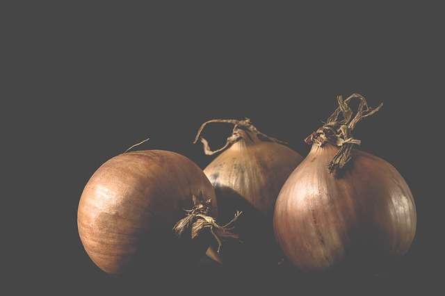 L'oignon, une plante riche en antioxydants