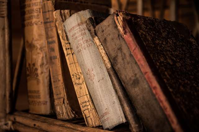 Livres : Plantes médicinales, le guide du débutant, Notre santé dans l’arène politique...