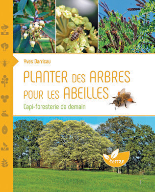 Planter des arbres pour les abeilles 