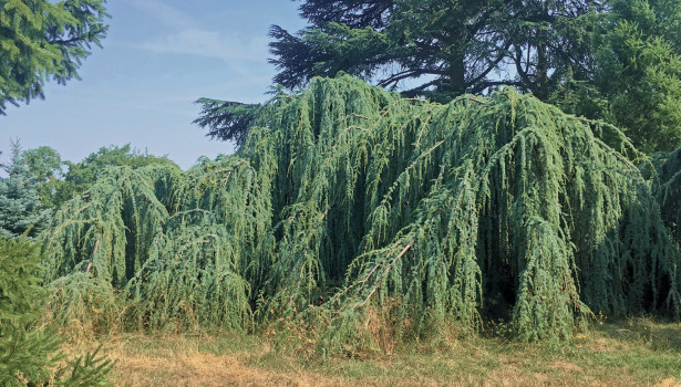 À l’École Du Breuil, <br>on apprend la nature</br>