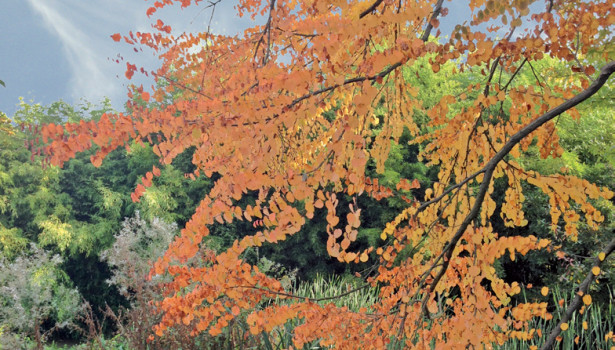 À l’École Du Breuil, <br>on apprend la nature</br>