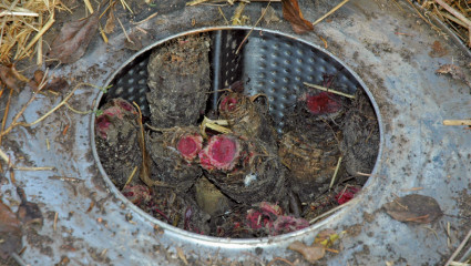 Tambour de machine à laver utilisé comme silo