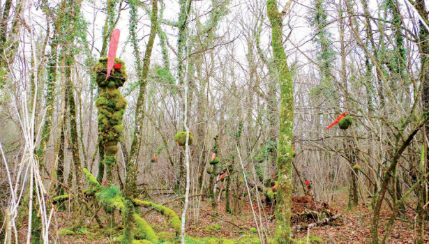 Sculptures végétales de la forêt d’Argentenay 