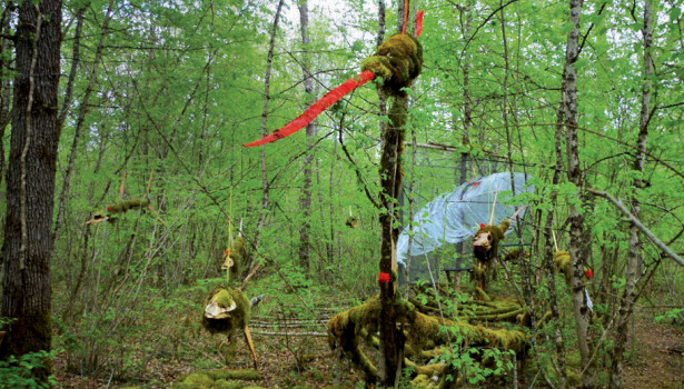 Sculptures végétales de la forêt d’Argentenay 