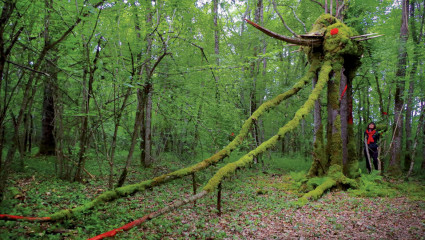 scultupre - land art - Alain Bresson