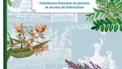 Remèdes anciens - Plantes & Santé