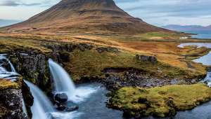 L’Islande redécouvre  sa biodiversité