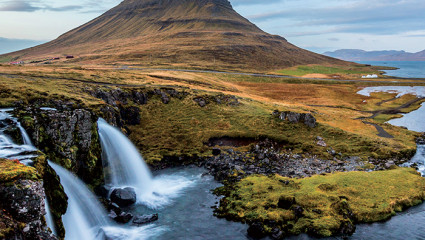 L’Islande redécouvre  sa biodiversité