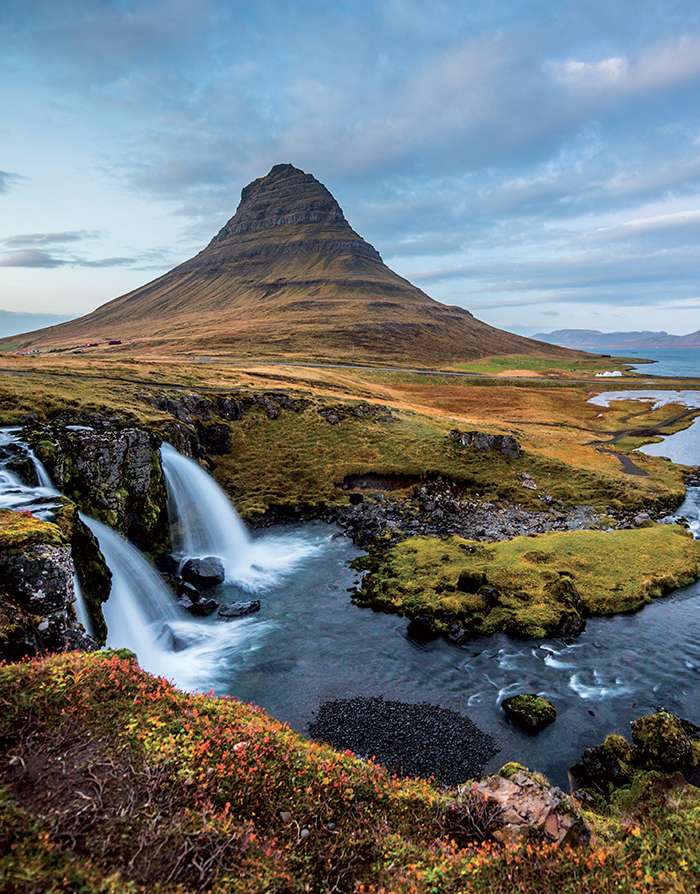 L’Islande redécouvre  sa biodiversité