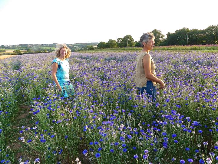 Brigitte Qaghebeur & Catherine productrice de bleuet