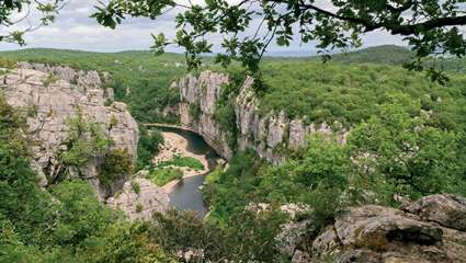 Bois de Païolive en Ardèche : Site sensible et onirique