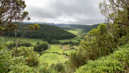 Paysage rural