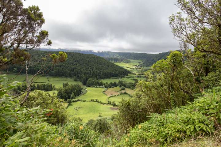 Paysage rural