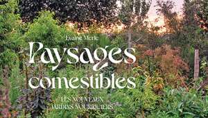 Paysages comestibles - Evaine Merle