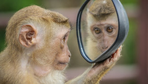 La peau : Effet miroir de notre santé 