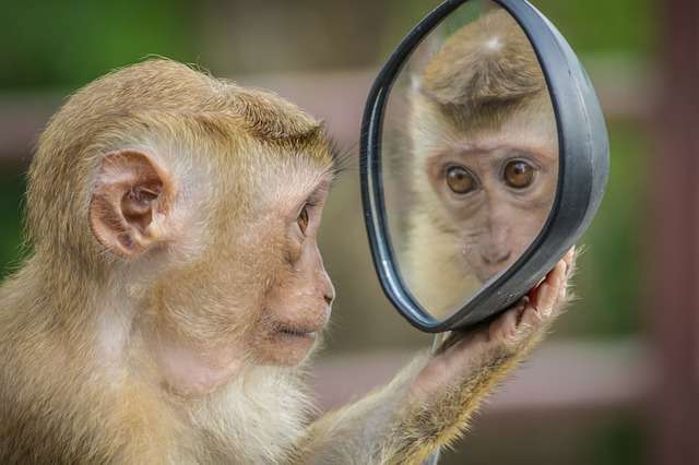 La peau : Effet miroir de notre santé 