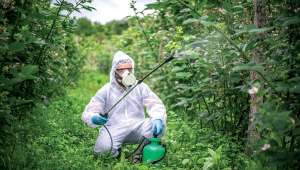 Épandage de pesticides : victoire pour la protection des riverains