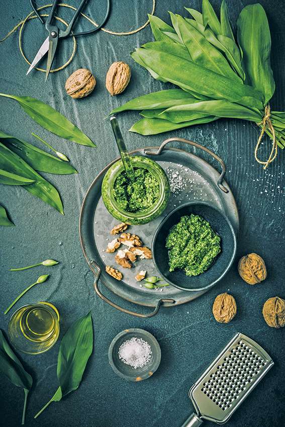 Pesto à l'ail des ours