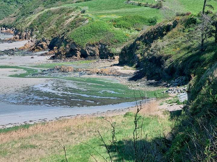 Des algues vertes échouées sur la plage de la Grandville à Hillion, au printemps 2022.