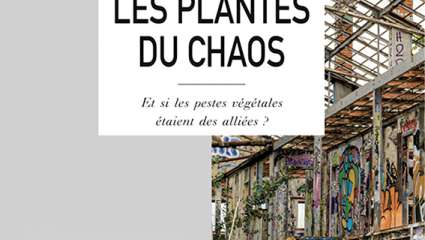 Les plantes du chaos