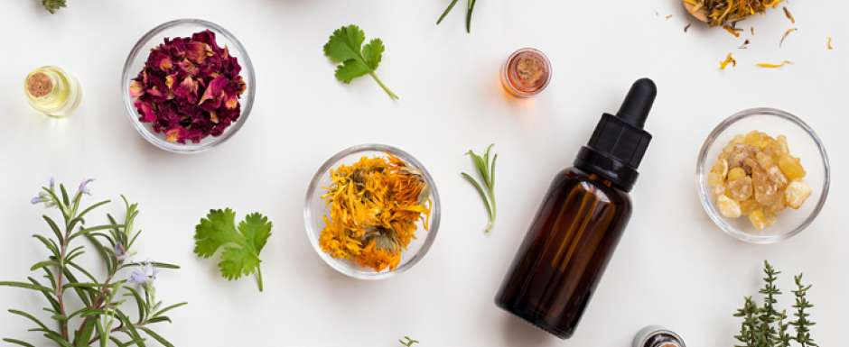 Plantes efficaces contre l'arthrose et l'arthrite