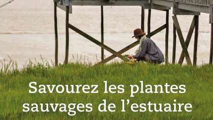 Savourez les plantes sauvages de l'estuaire