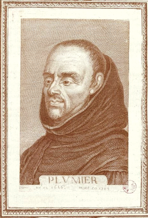 Charles Plumier (1646-1704) effectua plusieurs voyages en Amérique, où il observa le genre Begonia
