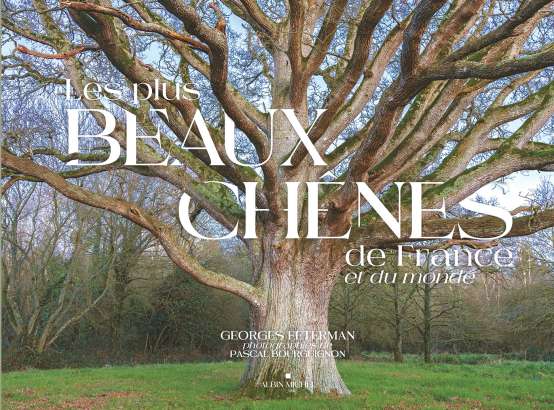 Les plus beaux  chênes de France - Georges Feterman et Pascal Bourguignon