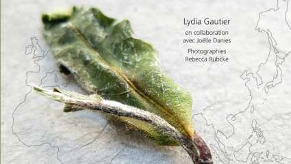 Portraits de thé, de Lydia Gautier