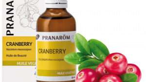 La cranberry : après ses fruits, son huile antioxydante